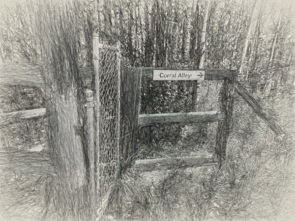 Through the fence to Corral Alley