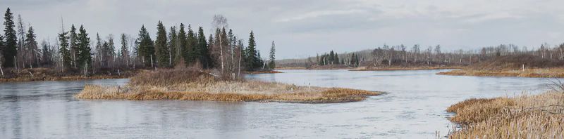 One of the little islands that dot Islet Lake