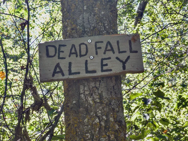 Ministik Loop Hike From Deadfall Alley to the UofA Road