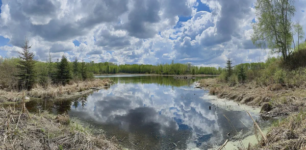 Ministik Hike to Dorward Lake for Two Challenge Caches