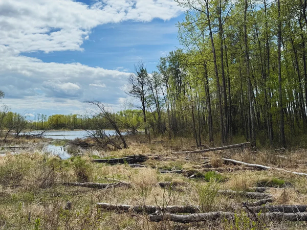 Ministik Hike to Explore Trails Northeast of Mandy Lake