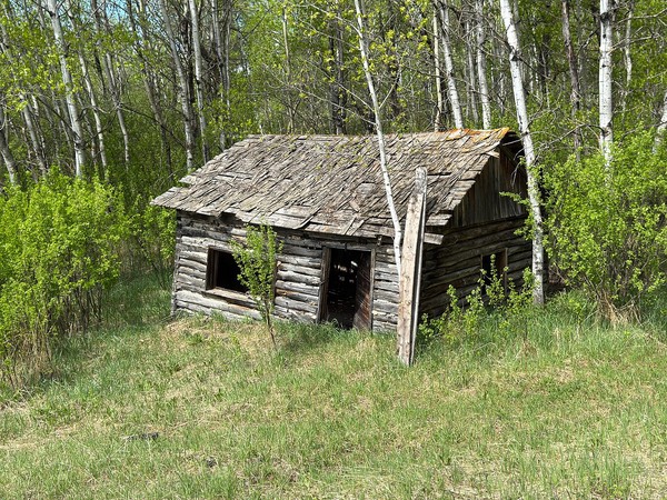 Mitchell Loop Hike
