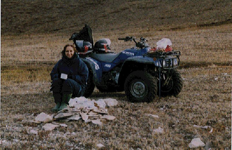 Suz and quad