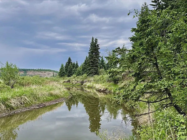 Geocaching the "Sturgeon River Stroll" Series of Caches