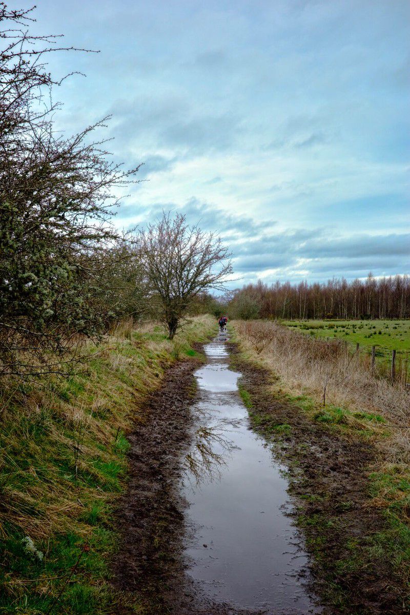 One isolated example of the many puddle puzzles
