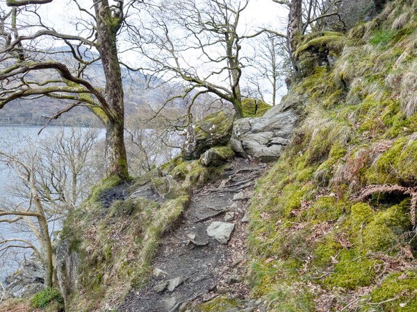 West Highland Way - Day 3 - Rowardennan to Ardlui