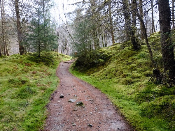 West Highland Way - Day 4 - Ardlui to Tyndrum