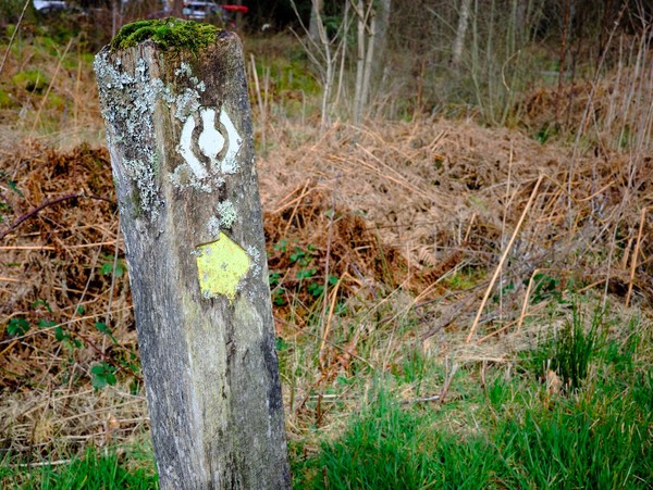 West Highland Way - A Sample of the Waymarkers Along the Way